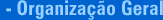 Organiza&ccedil;&atilde;o Geral
